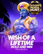 Wish of a Lifetime Hold & Win